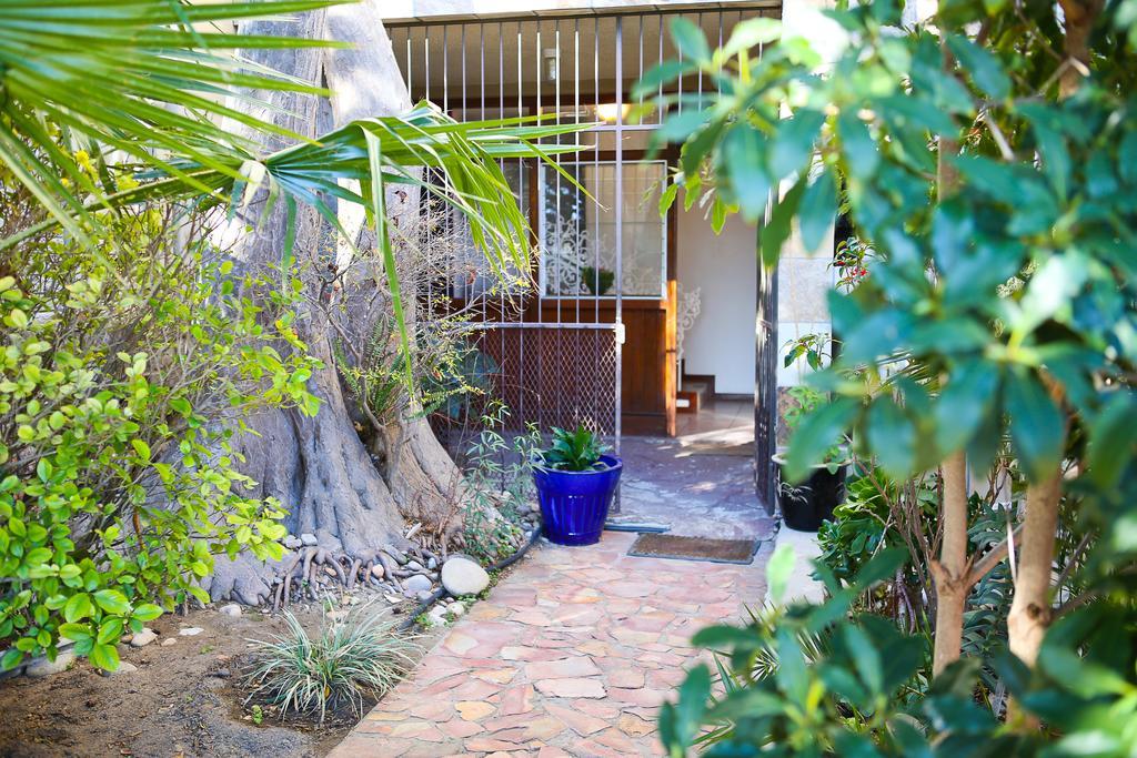 Oudtshoorn Homestay Accommodation Eksteriør billede